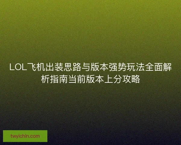 LOL飞机出装思路与版本强势玩法全面解析指南当前版本上分攻略